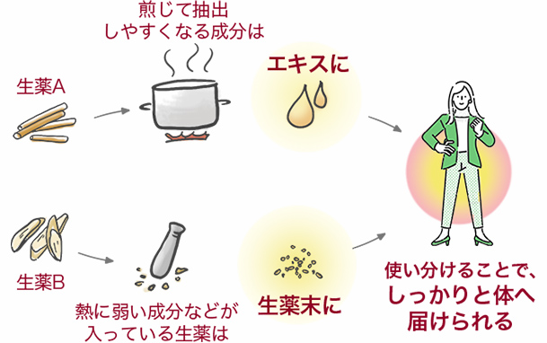 【生薬A → 煎じて抽出しやすくなる成分は → エキスに】【生薬B → 熱に弱い成分などが入っている生薬は → 生薬末に】使い分けることで、しっかりと体へ届けられる