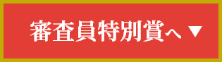 審査員特別賞へ