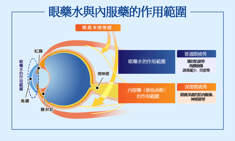 眼藥水與內服藥的作用範圍