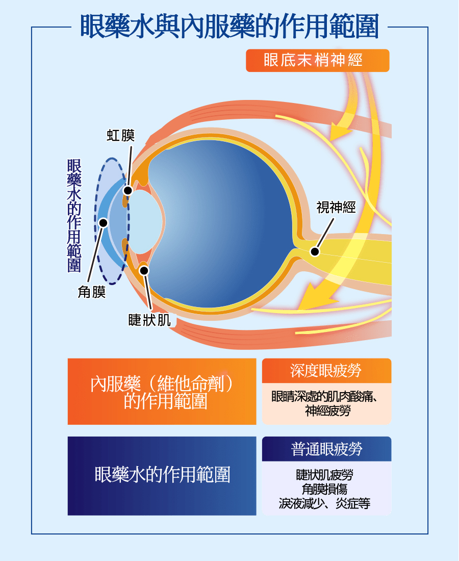 眼藥水與內服藥的作用範圍