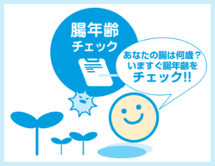 肌と便秘の気になる関係