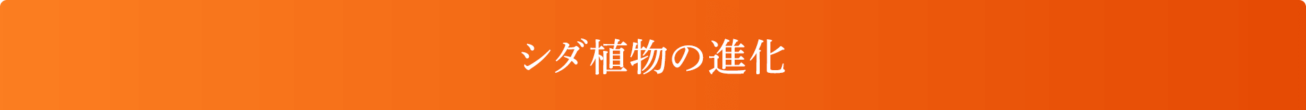 シダ植物の進化