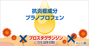 抗炎症成分「プラノプロフェン」が効果を発揮