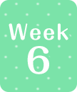 week6