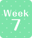 week7
