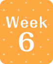week6