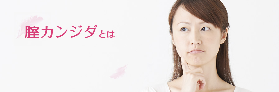 腟カンジダとは (メンソレータム&reg; フレディ&reg;CC メンソレータム フレディシーシー） 