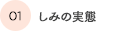 しみの実態