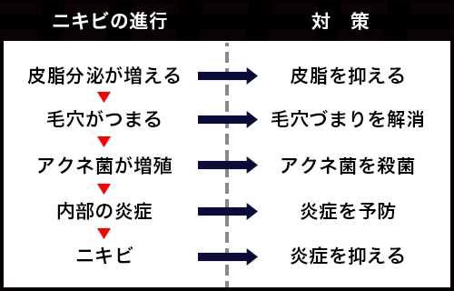 ニキビの進行と対策：症状が進むほど毛穴づまりや炎症が大きくなります