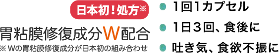 日本初！処方。胃粘膜修復成分W配合※Wの胃粘膜修復成分が日本初の組み合わせ・１回１カプセル・１日３回、食後に・吐き気、食欲不振に