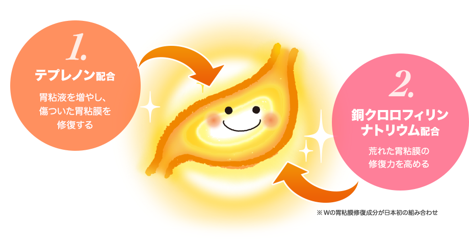 1.「テプレノン配合」胃粘液を増やし、傷ついた胃粘膜を修復する。2.「銅クロロフィリンナトリウム配合」荒れた胃粘膜の修復力を高める。※Wの胃粘膜修復成分が日本初の組み合わせ