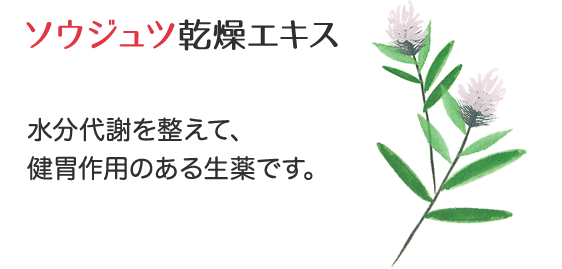 「ソウジュツ乾燥エキス」水分代謝を整えて、健胃作用のある生薬です。