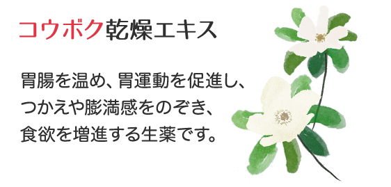 「コウボク乾燥エキス」胃腸を温め、胃運動を促進し、つかえや膨満感をのぞき、食欲を増進する生薬です。