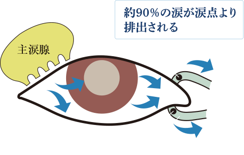 約90％の涙が涙点より排出される