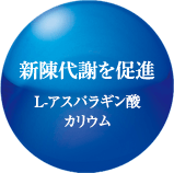 新陳代謝を促進 L-アスパラギン酸カリウム