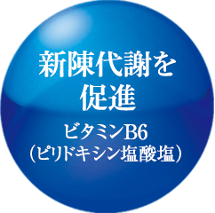 新陳代謝を促進 ビタミンB6（ピリドキシン塩酸塩）